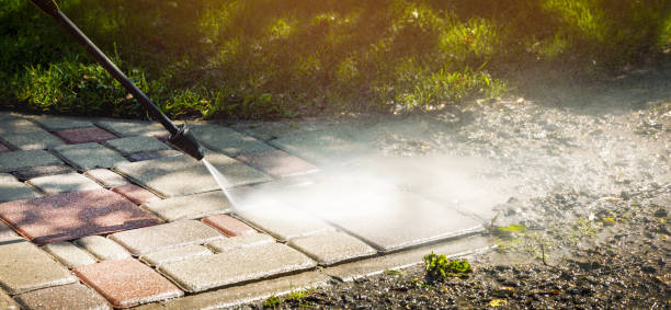 Best Solar Panel Cleaning  in Mathews, VA